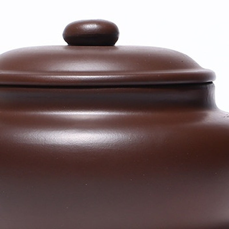 Zisha Teapot Purple Clay (Zini) - body detail closeup